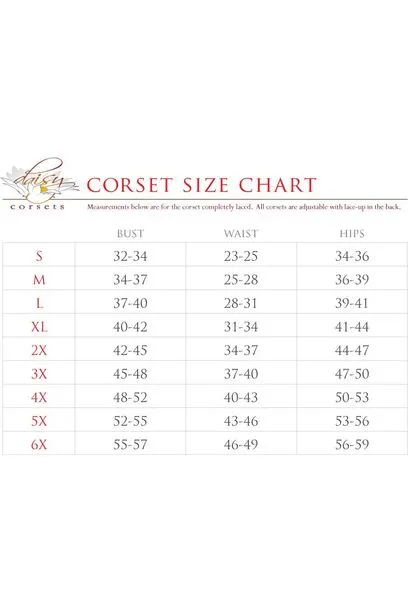 Daisy Corsets Top Drawer 4 PC Pink Lace Premium Pirate Corset Costume