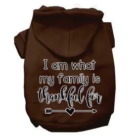I Am What My Family Is Thankful For Screen Print Dog Hoodie Brown Xxxl